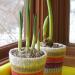 Decorating and decorating flower pots with your own hands without leaving home