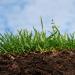 Soils, their composition, properties and types What is the most important property of soil