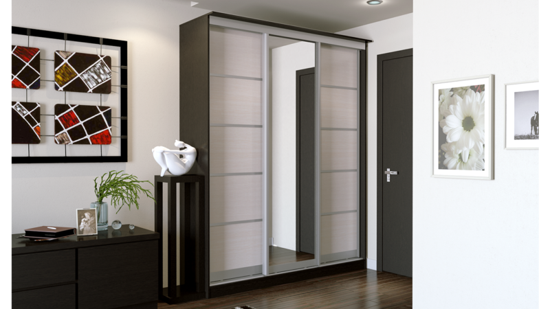 Built-in closet in the hallway photo and its features